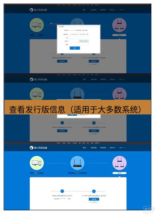 快连VPN 查看发行版信息（适用于大多数系统）