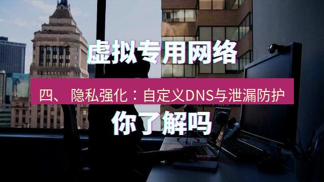 快连VPN 四、 隐私强化：自定义DNS与泄漏防护
